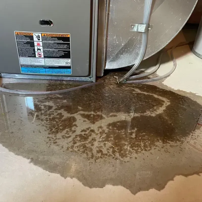 Appliance Leak Cleanup in New Madrid County, MO